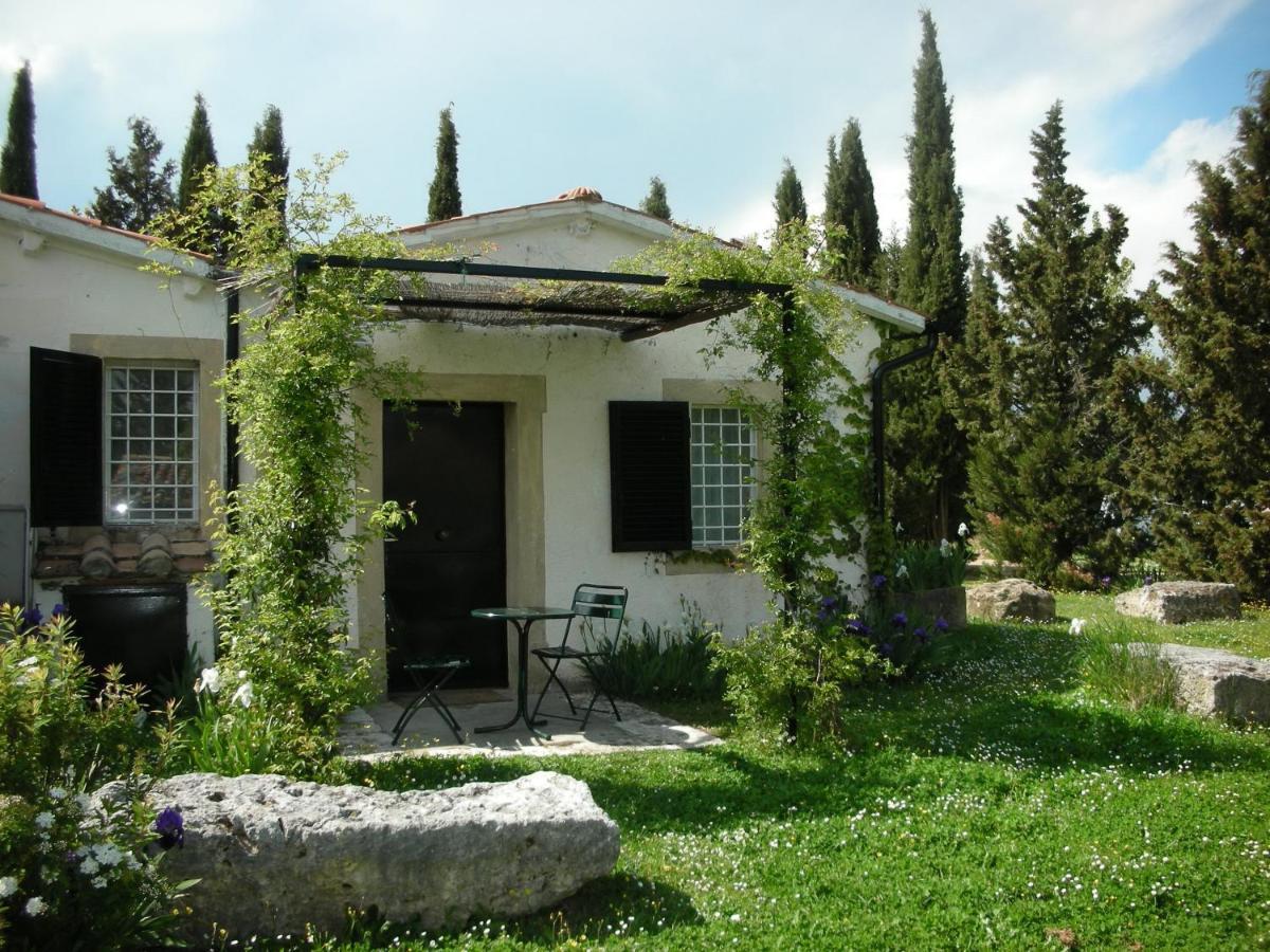 Vignagrande Agriturismo Сатурния Екстериор снимка